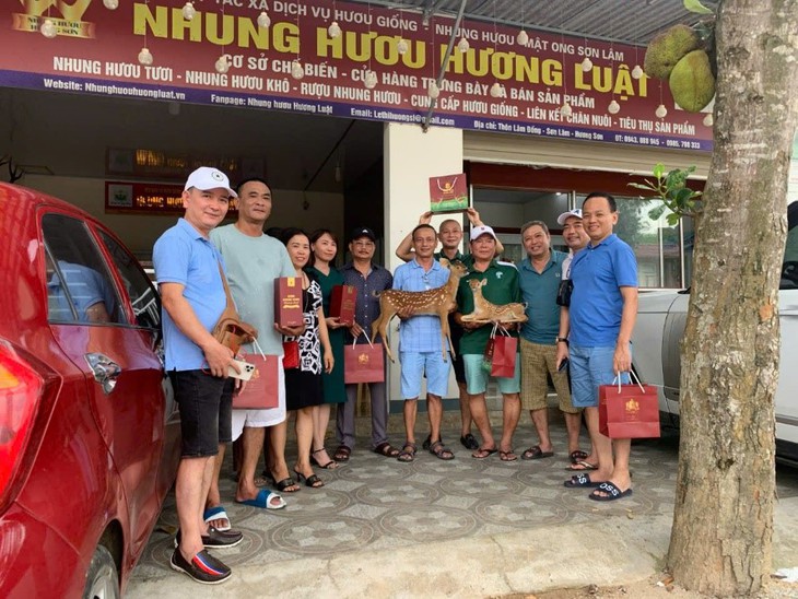 Trang trại mua nhung hươu tươi, hươu giống uy tín tại Hương Sơn - Hà Tĩnh- Ảnh 6.