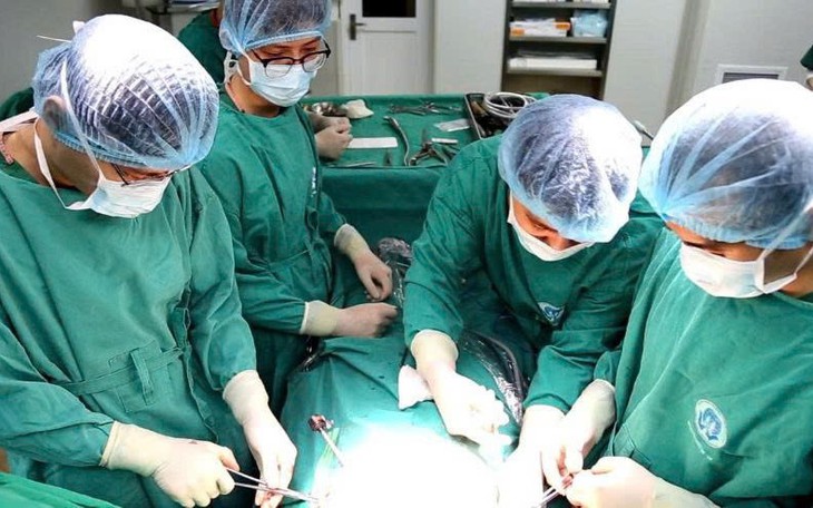 Giải pháp nào cho phát triển dược liệu ở Phú Thọ?- Ảnh 3.