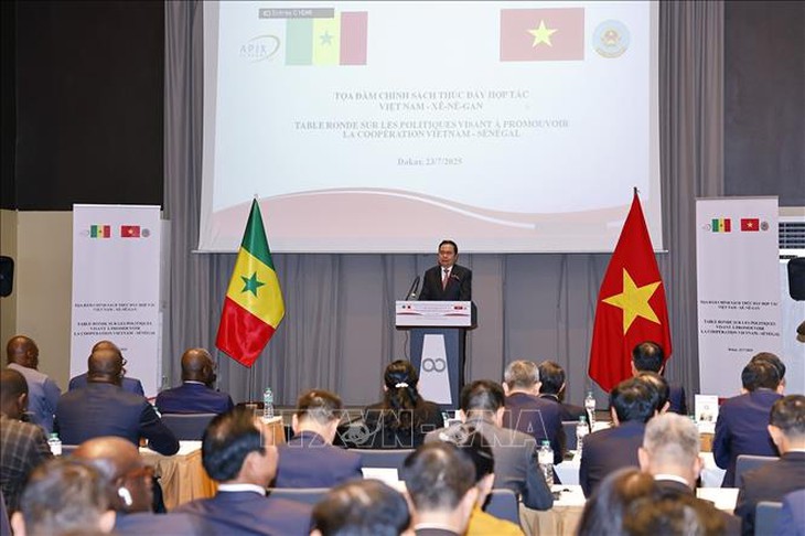 Chủ tịch Quốc hội Trần Thanh Mẫn dự tọa đàm chính sách thúc đẩy hợp tác Việt Nam - Senegal- Ảnh 4. Chủ tịch Quốc hội Trần Thanh Mẫn dự tọa đàm chính sách thúc đẩy hợp tác Việt Nam - Senegal- Ảnh 4.