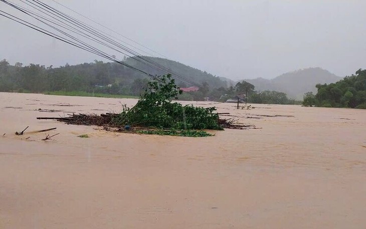 Hơn 300 người xuyên đêm gia cố đê sông Tam Điệp- Ảnh 4.