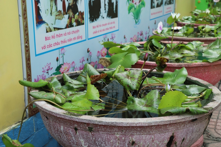 Dịch bệnh ở TPHCM diễn biến phức tạp, 10 ca tử vong do sốt xuất huyết, ca bệnh tăng gần 160%- Ảnh 2.