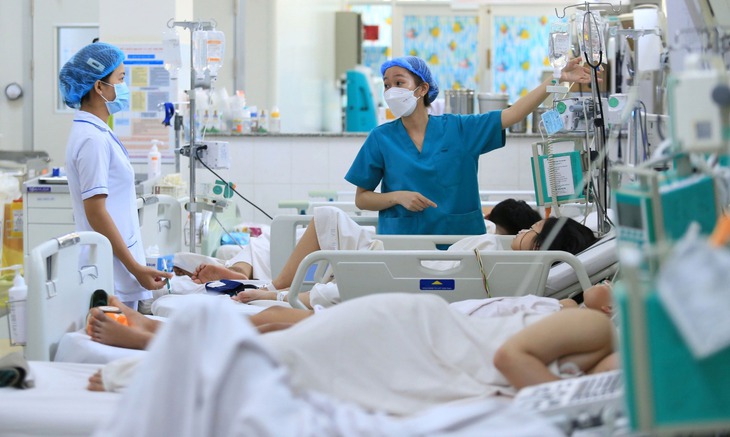 Rà soát tổng thể nhu cầu sử dụng viên chức ngành y tế, giáo dục ở các địa phương- Ảnh 2. Rà soát tổng thể nhu cầu sử dụng viên chức ngành y tế, giáo dục ở các địa phương- Ảnh 2.