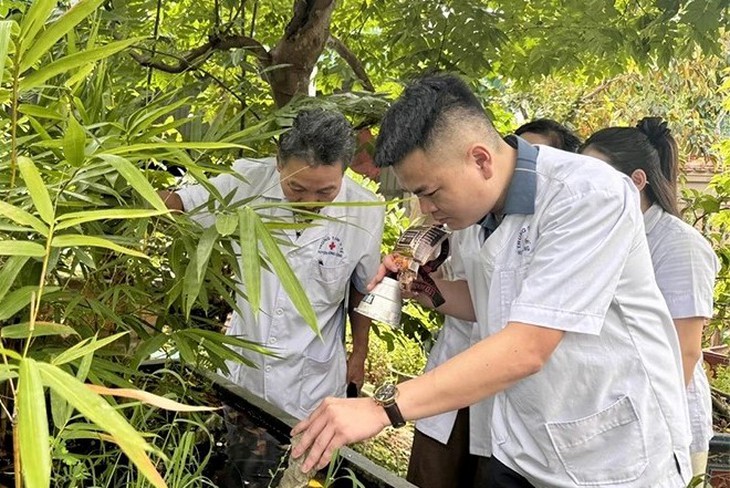 Thanh Hóa: Giám sát chặt chẽ các bệnh truyền nhiễm trong mùa hè- Ảnh 1.