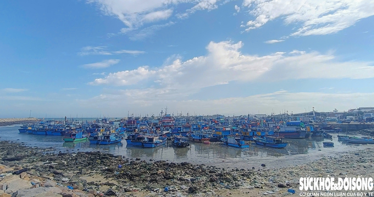 Mất tiền triệu mỗi lần cập cảng, ngư dân Khánh Hòa chờ được 'giải cứu'- Ảnh 3.