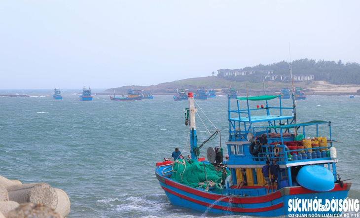 Mất tiền triệu mỗi lần cập cảng, ngư dân Khánh Hòa chờ được 'giải cứu'- Ảnh 2.