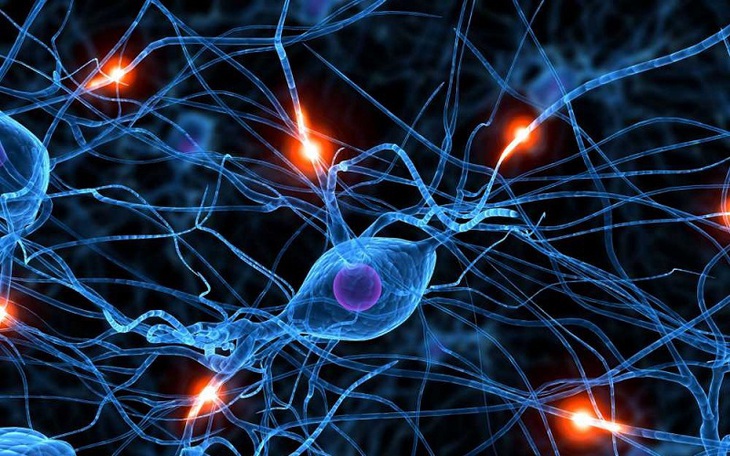 U sợi thần kinh do đâu?