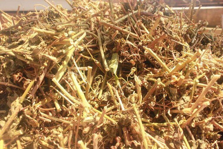 3 thảo dược có tác dụng làm giảm căng thẳng và lo âu- Ảnh 3.