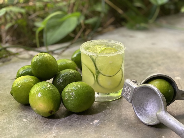 Đừng vội uống nước chanh buổi sáng nếu bạn chưa biết điều này- Ảnh 2. Đừng vội uống nước chanh buổi sáng nếu bạn chưa biết điều này- Ảnh 2.