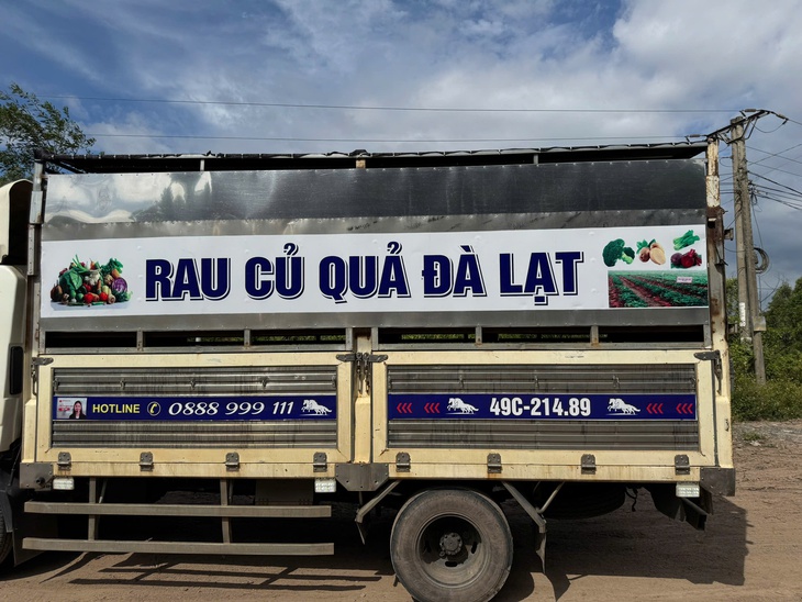 Phát hiện gần 100 con lợn bệnh trên xe tải chở rau củ quả- Ảnh 1. Phát hiện gần 100 con lợn bệnh trên xe tải chở rau củ quả- Ảnh 1.