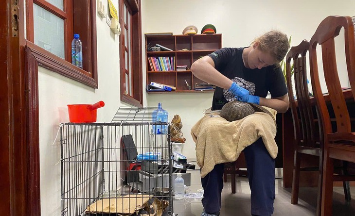 Khu rừng ‘hồi sinh’ nhiều loài động vật quý hiếm- Ảnh 7.