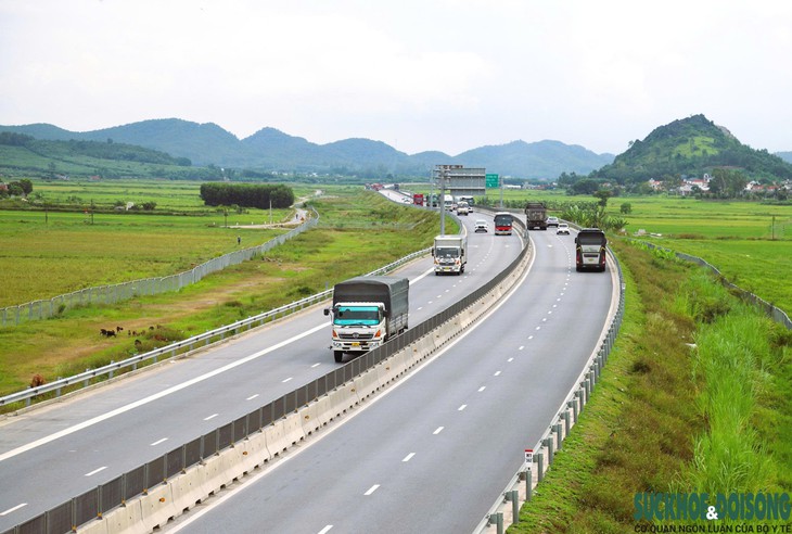 Tự ý dỡ rào, chăn thả gia súc trên hành lang cao tốc Diễn Châu - Bãi Vọt- Ảnh 1.