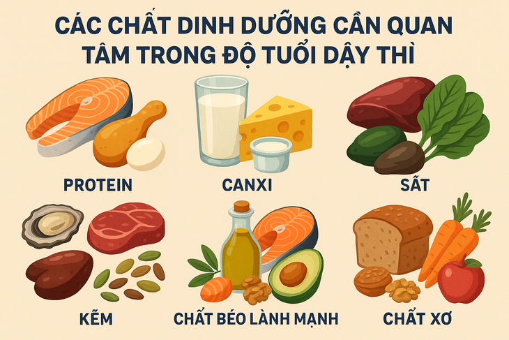Các chất dinh dưỡng cha mẹ cần cần quan tâm bổ sung cho con trong độ tuổi dậy thì- Ảnh 2.