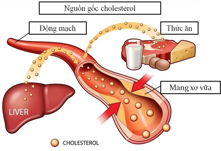 5 loại thực phẩm giúp kiểm soát mức cholesterol- Ảnh 1.