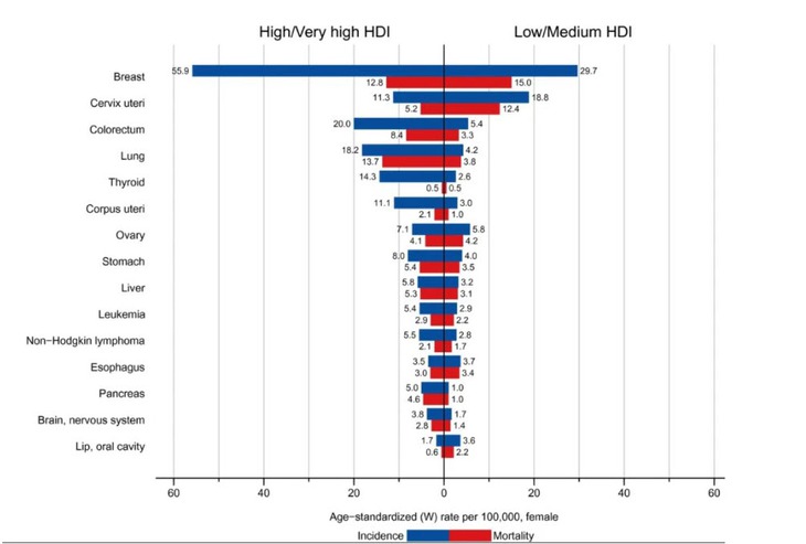 Tiêm vaccine HPV – Lá chắn vàng ngăn ngừa ung thư cổ tử cung- Ảnh 2.