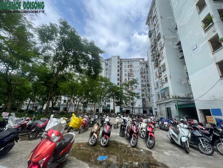 Cận cảnh chung cư tái định cư cũ ở Hà Nội được rao bán hơn 75 triệu/m2- Ảnh 7. Cận cảnh chung cư tái định cư cũ ở Hà Nội được rao bán hơn 75 triệu/m2- Ảnh 7.