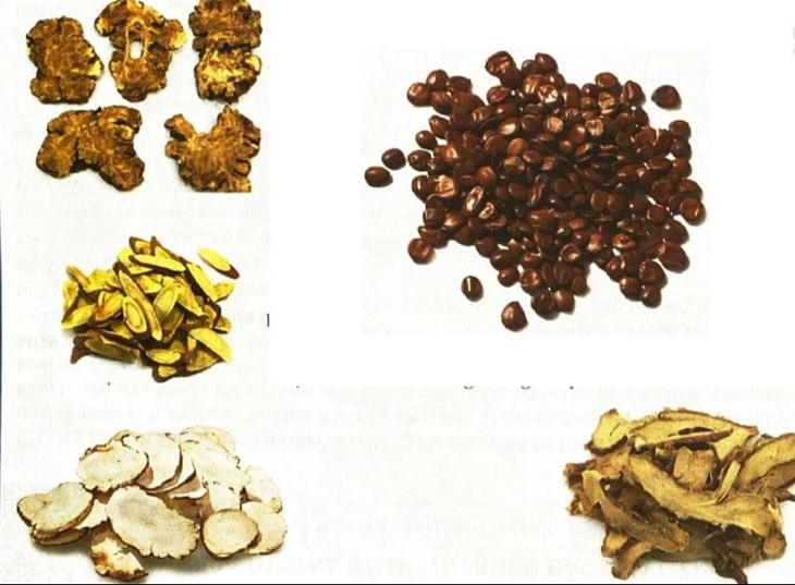 4 bài thuốc làm giảm căng thẳng và lo âu- Ảnh 1.