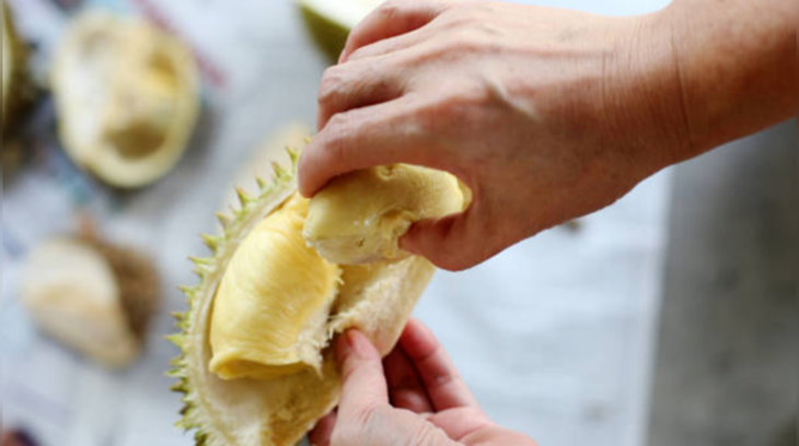 Hôm nay là ngày trái sầu riêng
