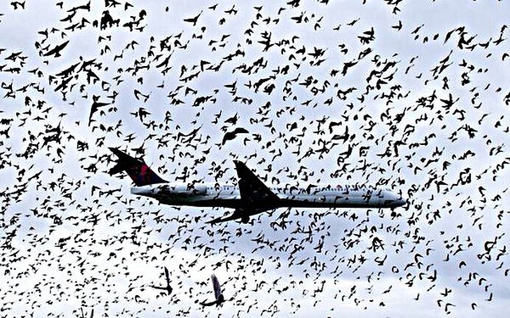 Delay chuyến bay - ‘điểm trừ" lớn của hàng không năm 2025- Ảnh 1.