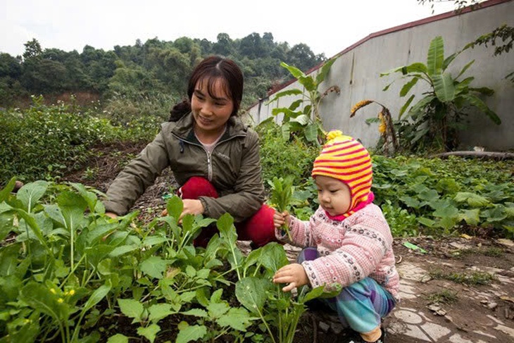 Tự trồng, tự nuôi, tự nấu: Mô hình “vườn – ao – chuồng” cải thiện dinh dưỡng hộ gia đình vùng cao- Ảnh 3.