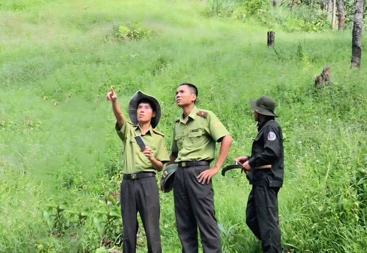Dùng flycam bảo vệ 'lá phổi xanh' trong mùa nắng nóng- Ảnh 2.