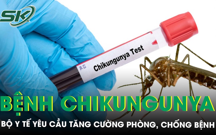 Bộ Y tế yêu cầu tăng cường phòng, chống bệnh Chikungunya