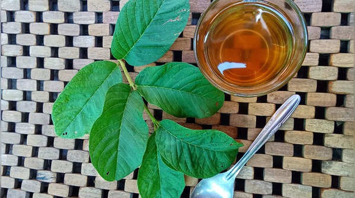 Trí tuệ Ayurvedic
