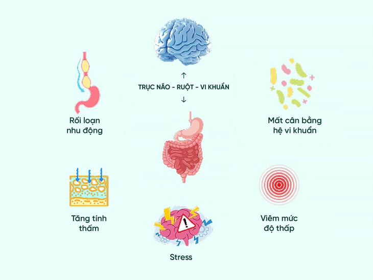 Hội chứng ruột kích thích – Giải pháp đột phá mới từ PHGG và Simethicone- Ảnh 1.