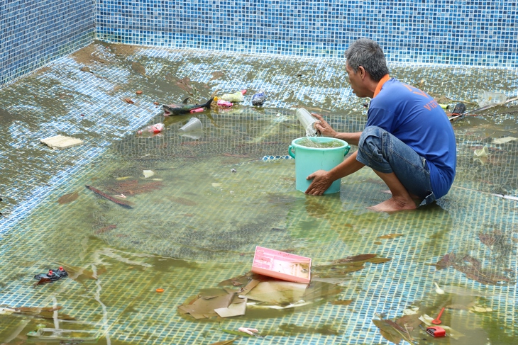 TPHCM: Chủ động diệt lăng quăng phòng sốt xuất huyết và Chikungunya từ gốc- Ảnh 3. TPHCM: Chủ động diệt lăng quăng phòng sốt xuất huyết và Chikungunya từ gốc- Ảnh 3.