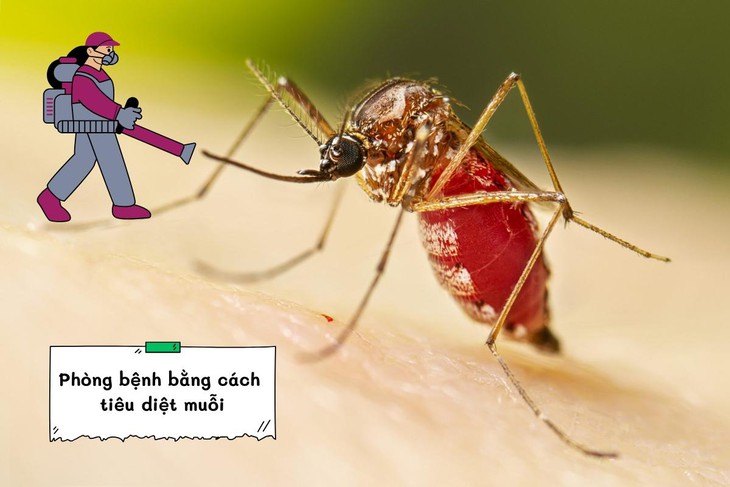 Cảnh báo bệnh Chikungunya do muỗi Aedes: gây sốt cao, đau và viêm khớp- Ảnh 3.