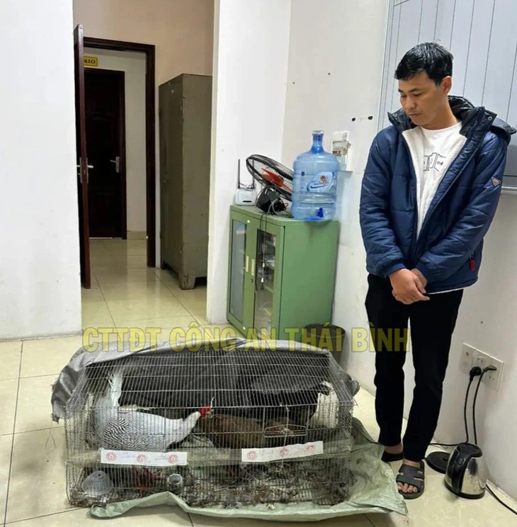 Vụ 'Gà lôi trắng': VKSND Hưng Yên kháng nghị bản án sơ thẩm, đề nghị thay đổi biện pháp ngăn chặn- Ảnh 1.