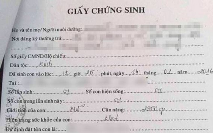 Thay tên, trốn sang nước ngoài khi bị truy tố tội buôn bán trẻ em- Ảnh 2.