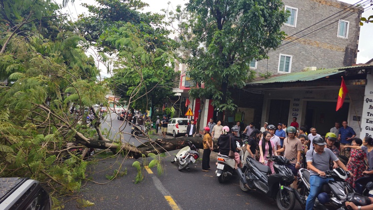 Cây phượng bật gốc đè trúng 2 xe máy chở 4 người ở Quảng Trị- Ảnh 1.