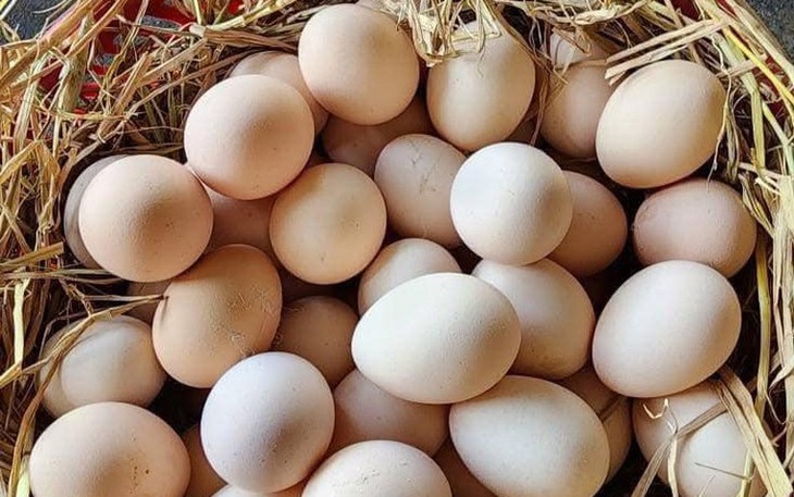 Bài thuốc từ hà thủ ô phòng chống rụng tóc trong mùa thu- Ảnh 1.