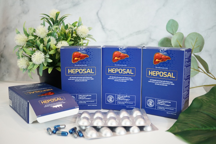 Heposal - Đồng hành cùng người bệnh gan gần 1 thập kỷ- Ảnh 1.