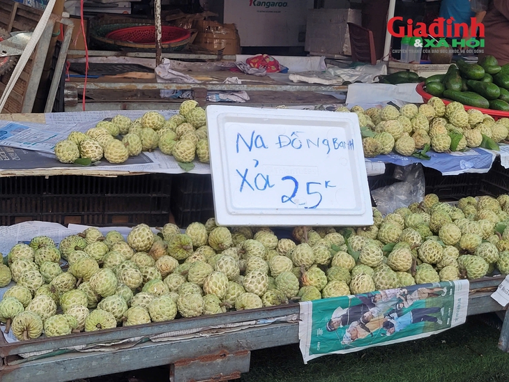 Na 'dởm' gắn mác Đồng Bành bán đầy chợ Việt, giá chỉ 20.000 đồng/kg- Ảnh 1. Na 'dởm' gắn mác Đồng Bành bán đầy chợ Việt, giá chỉ 20.000 đồng/kg- Ảnh 1.