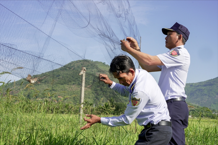 Lợi ích của chim yến và nỗi ám ảnh 'lưới tàng hình'- Ảnh 2.