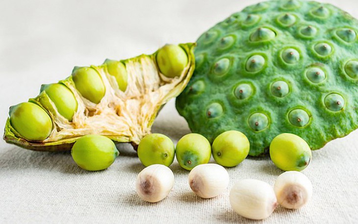 Hạt sen tươi và hạt sen khô, loại nào tốt hơn? - Ảnh 2.