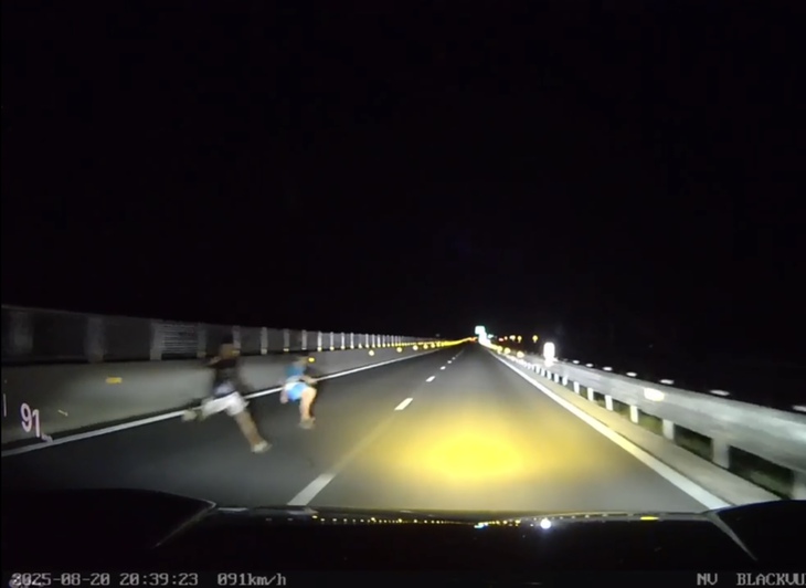 Video: Hai người lao ra giữa cao tốc trong đêm- Ảnh 1.