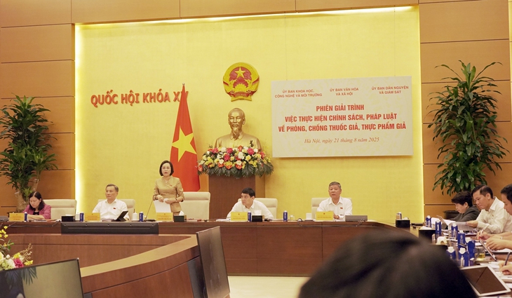 Thứ trưởng Đỗ Xuân Tuyên: Không ghi nhận thuốc giả ở các cơ sở khám, chữa bệnh- Ảnh 1.