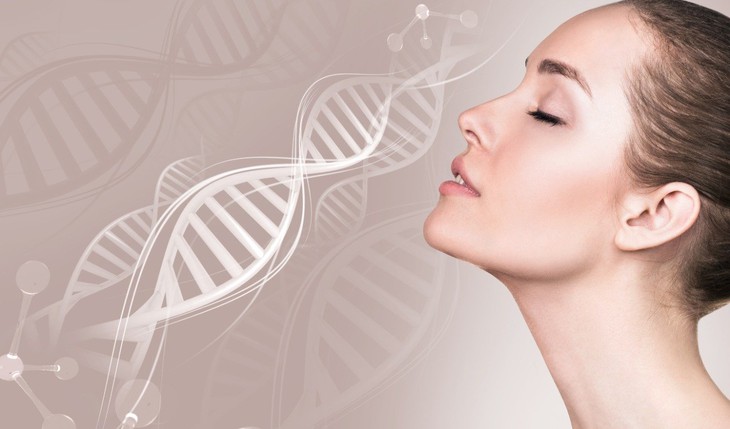 3 cách tăng cường collagen tự nhiên cho cơ thể- Ảnh 2.