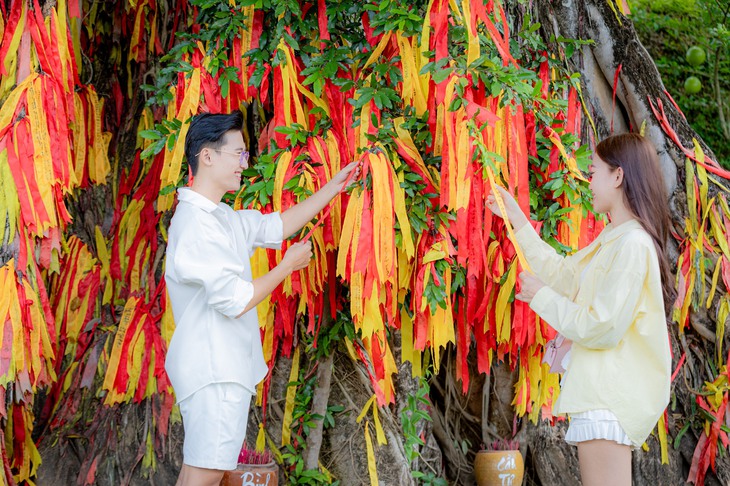 Đến Khánh Hòa trải nghiệm cưỡi chim đà điểu, xem đua heo, ôm cá sấu- Ảnh 2.