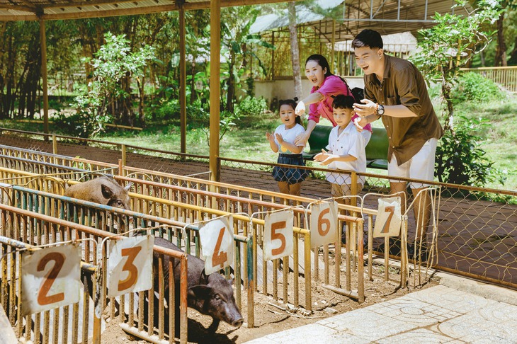Đến Khánh Hòa trải nghiệm cưỡi chim đà điểu, xem đua heo, ôm cá sấu- Ảnh 6.