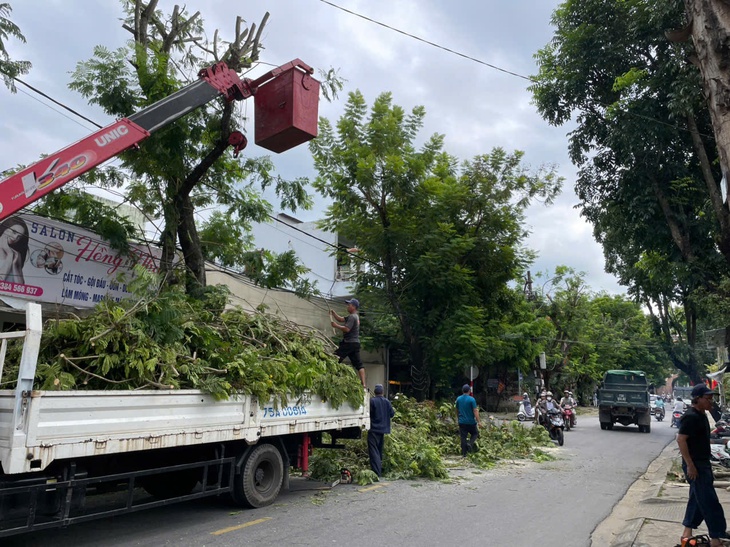 Nông dân Huế xuyên đêm gặt lúa ứng phó bão số 5- Ảnh 5.