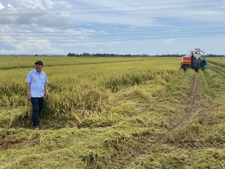 Huế yêu cầu hồ chứa hạ mực nước về mức đón lũ, cấm biển để ứng phó bão số 5- Ảnh 3.