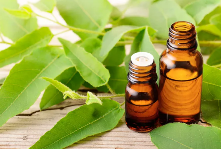 Cách nào giúp chống muỗi mà không gây hại? - Ảnh 1.