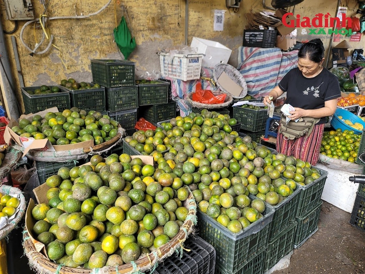 167 điểm kinh doanh tự phát làm xấu xí hình ảnh Thủ đô, nguyên nhân gì khiến 'chợ cóc' tồn tại dai dẳng?- Ảnh 1. 167 điểm kinh doanh tự phát làm xấu xí hình ảnh Thủ đô, nguyên nhân gì khiến 'chợ cóc' tồn tại dai dẳng?- Ảnh 1.