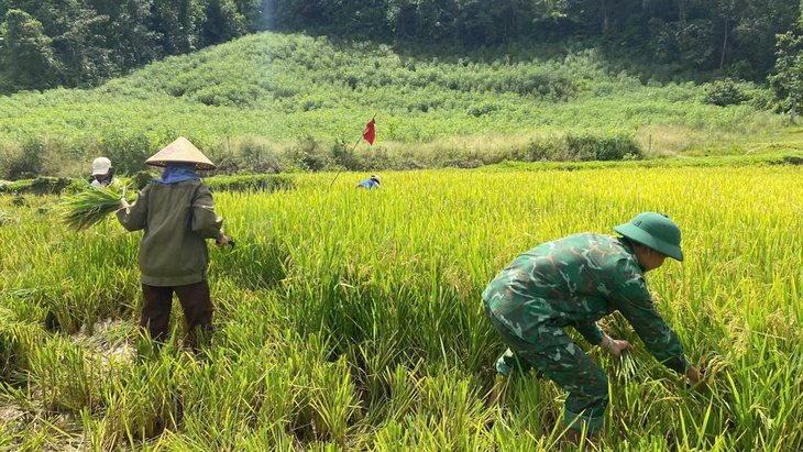 Người dân Quảng Trị gặt đêm, cẩu thuyền lên bờ trước bão số 5- Ảnh 8.