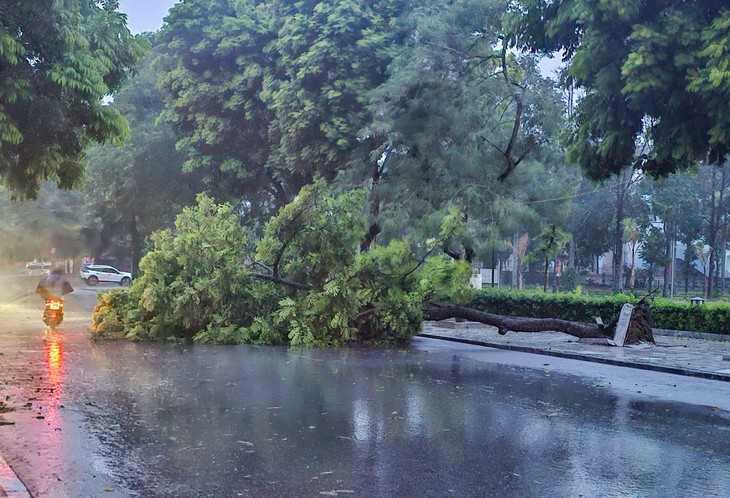 Giải cứu 3 người khỏi căn nhà ngập sâu, nguy cơ đổ sập trong đêm mưa lũ- Ảnh 4.