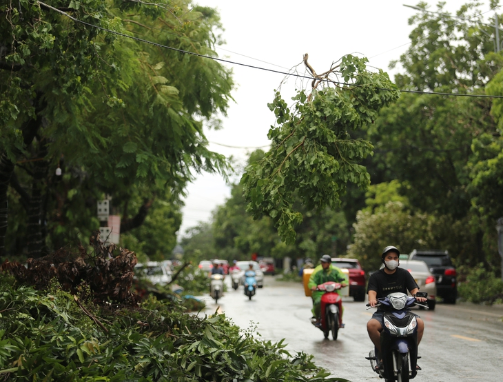 Nỗ lực giải tỏa nhiều tuyến phố Nghệ An sau bão- Ảnh 2.
