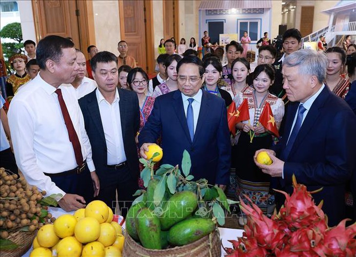 Thủ tướng chủ trì Hội nghị tổng kết Chương trình và Phong trào thi đua 'Cả nước chung tay xóa nhà tạm, nhà dột nát'- Ảnh 10.